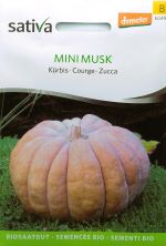 Pumpkin Mini Musk ORGANIC Seeds